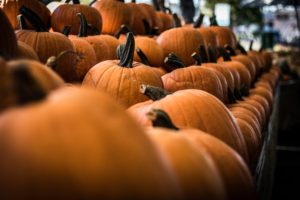 New England Fall Fun